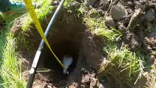 Metal detector Makro Racer 2 pro VS Garrett Axiom Depth test