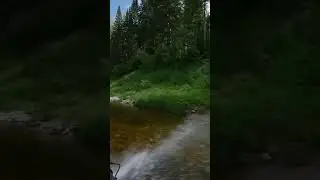 4 февраля 2024 г.
