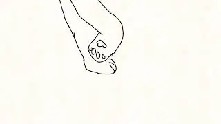 CAA: short animation test: Cat walking loop