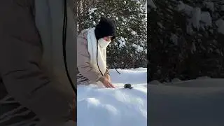 Что делает кошка когда гуляет? 🤪 