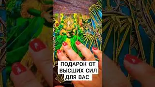 ПОДАРОК ОТ ВЫСШИХ СИЛ ДЛЯ ВАС 🥰🙏🍀#БОЖЕСТВЕННЫЙКАНАЛ #ТАРОЭФИР #СЛИЛИТ #ИСЦЕЛЕНИЕДУШИ #КАРМА #МАТРИЦА