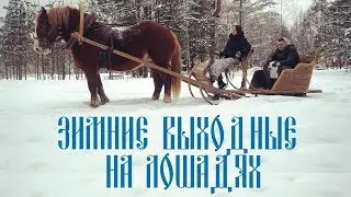 Зимние выходные на лошадях в Выборге