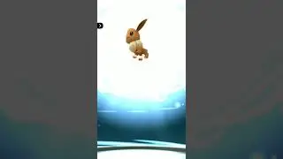 Evolving Eevee as Sakura in highest CP #PokemonGo