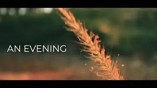 AN EVENING