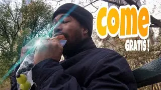 El MEJOR TRUCO Ahorrar en Comida al  Viajar a Nueva York