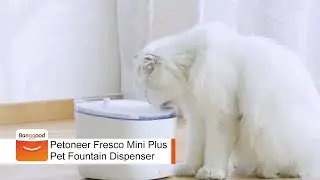 Petoneer Fresco Mini Plus Pet Smart Fountain Dispenser