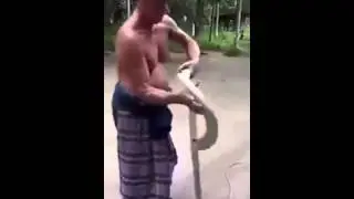 Как правильно брать кобру на руки