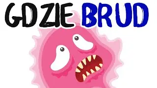 Jakie jest NAJBRUDNIEJSZE MIEJSCE W TWOIM DOMU? Bakterie i mikroorganizmy w mieszkaniu!