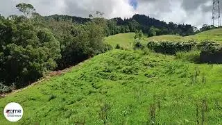 Terreno para Pastagem - Lombadas
