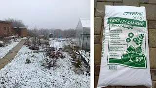 Грунт из Светофора, торф для бегоний. О нашей погоде.