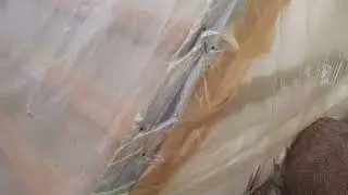 Буду убирать укрытие-дом для роз (20.04.2023г.)