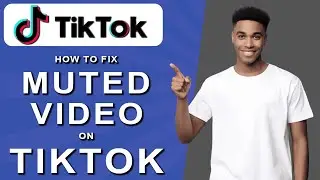 How to fix muted video on tiktok (2024)