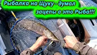Рыбалка на Щуку Трофейный выезд