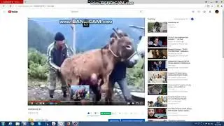 Sranic heto im aliqum ktesneq miayn humorayin tesanyuter