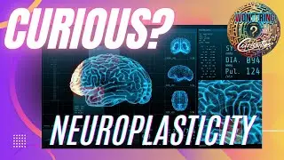 Human Brain's Neuroplasticity Fascinating Secrets and Facts Revealed!