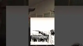 Дуэльная стрельба на олимпийских играх (начало XX века)