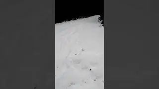 Из СКС по огнетушителю