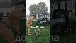 Эбби знала, что Джоэл не злой. Но все равно его убила