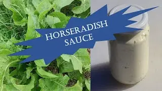 Horseradish - foraging, preserving & making sauce