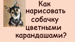 Как НАРИСОВАТЬ СОБАЧКУ ЦВЕТНЫМИ акварельными КАРАНДАШАМИ?