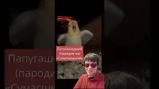 Папугашедший #пародия на «Сумасшедший» #виагра #прикол #попугай #юмор