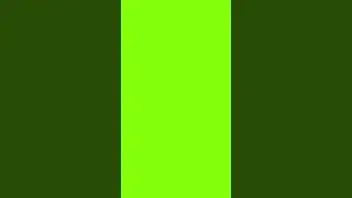 Green screen shorts layout