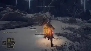 ELDEN RING OP build