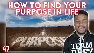 Find Your Purpose in Life