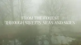 Michael Dietrich - From The Forest (Through Streets, Seas and Skies)