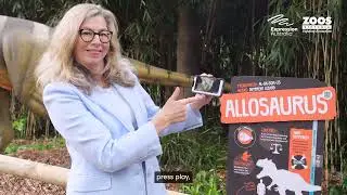 Expression Australia x Zoos Victoria - 