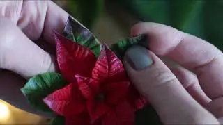 Пуансеттия на вайнерах fito mold
