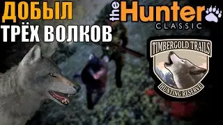Удивительная Охота На Волков The Hunter Classic