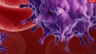 Учёные нашли вакцину от ВИЧ - первые шаги