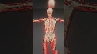 Nano & Gene Revolution