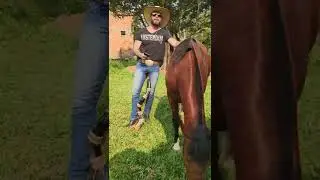 o bagulho é louco mano (cover) #music #modao #viola #joaocarreiro #monteiro #country #cawboy