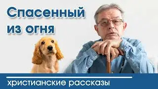 💛 Спасенный из огня - ИНТЕРЕСНЫЙ ХРИСТИАНСКИЙ РАССКАЗ | автор Вероника Тихая Христианские рассказы