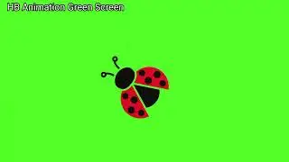Ladybug 🐞 Animation Green Screen