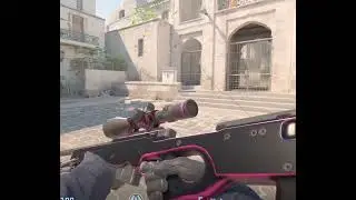AWP | NEODI
