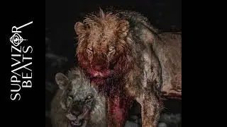 CARROLLTON - Supavizor Beats (Suicideboys Phonk Cover)