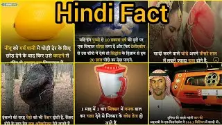 Fact today|viral fact|Hindi facts|amazing|did you know|English fact|factified| hot fact| #fact