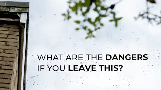 The Unforeseen Dangers Of Leaving Honeybees In Your Property