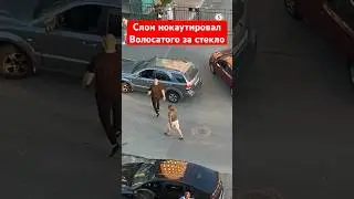 Слон нокаутировал волосатого за разбитое стекло