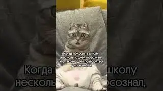 Уже устал 😩 