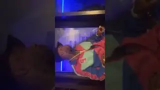TORY LANEZ MAKING A NEW SONG " DO NOT DISTURB" ON LIVE AGAIN