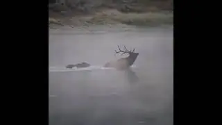 Не смог уйти.
