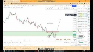 USD before the interest rate decision