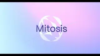 MITOSIS TESTNET