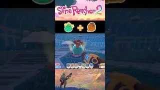 All Tangle Slime Largo Combinations 2024 - Slime Rancher 2 #slimerancher2  #gaming #relaxinggames