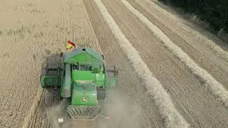 Cosechando trigo rimbau  en Cuevas de Amaya (Burgos)