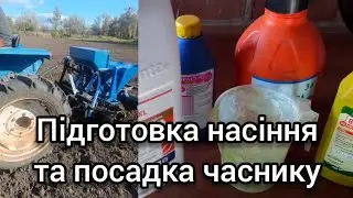 Підготовка насіння та посадка часнику сезон 2025-2026